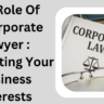 Corporate Lawyer