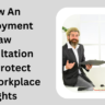 Employment Law Consultation