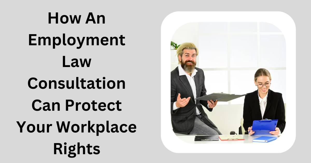 Employment Law Consultation